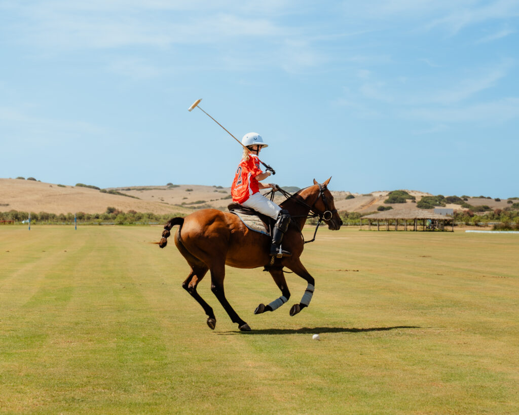 Polo Player riding a horse
