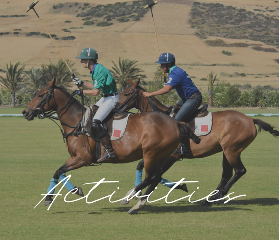 Polo players riding horses