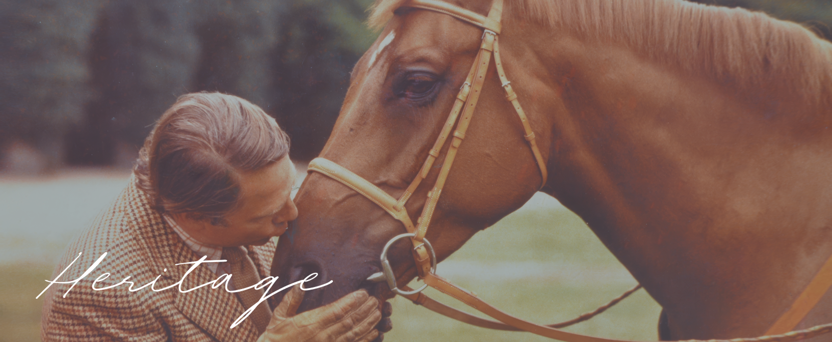 Patrick Hermes and his horse, a moment of trust at the heart of La Palmeraie