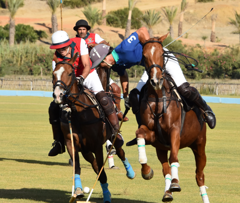 Polo Lessons
