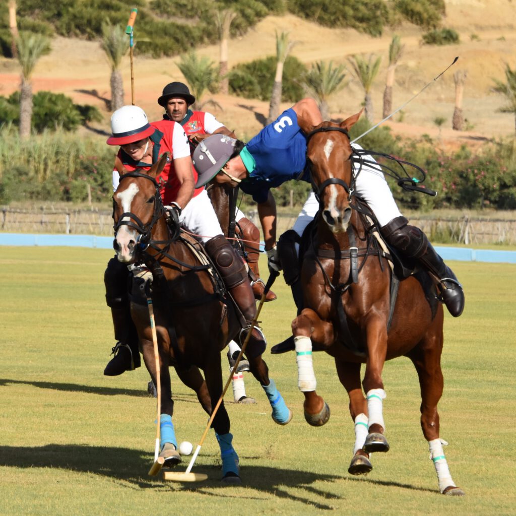 Polo Lessons