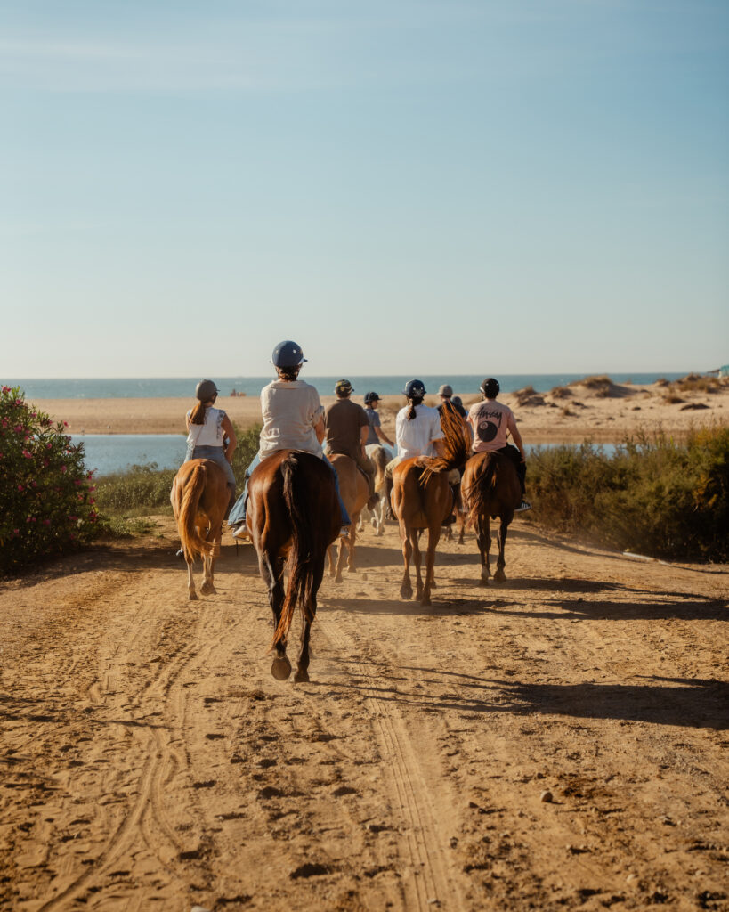 Riding Lessons